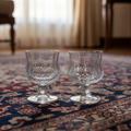 Exquisite Crystal Shot Glasses (45ml) set of 6