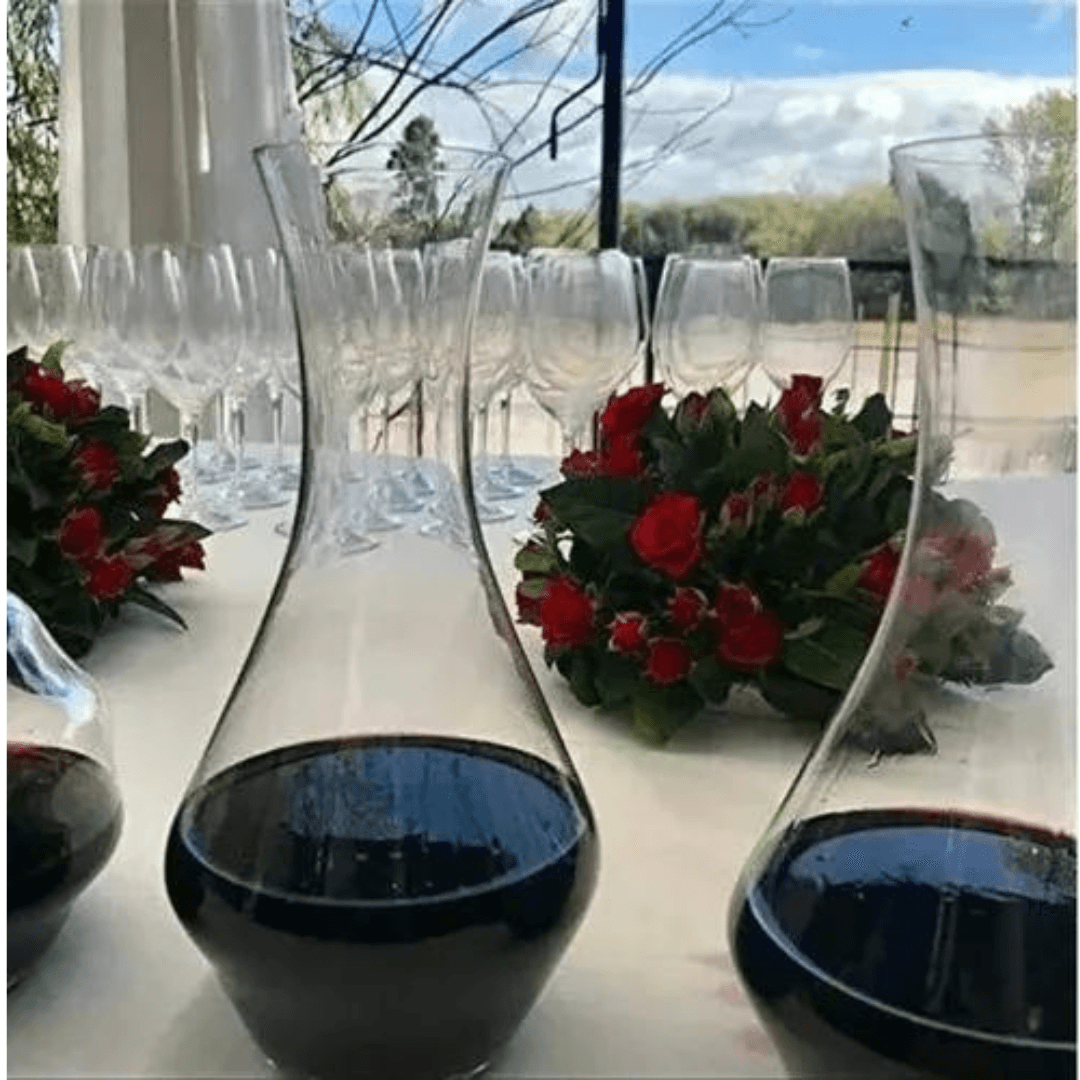 Nadir Malbec Wine Decanter 950 ML (1 pc) - Happyware Home Pvt Ltd